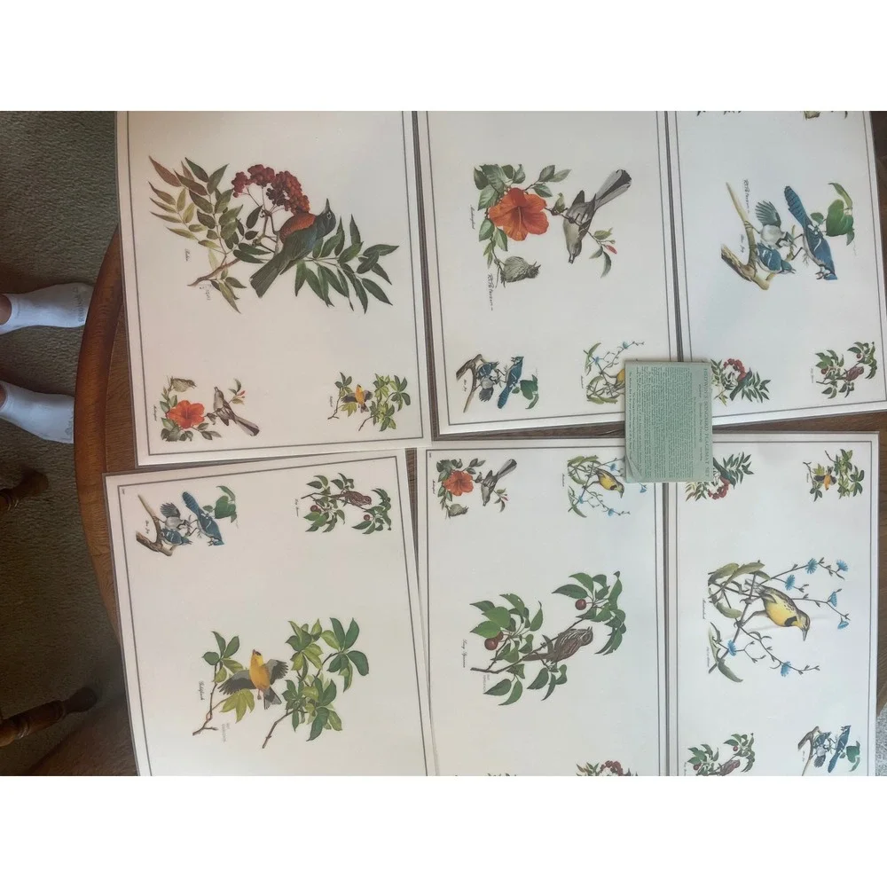 Vintage Roger Tory Peterson Songbird Placemats Set of 6 Nature Bird Art Decor